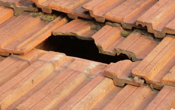 roof repair Tregidden, Cornwall